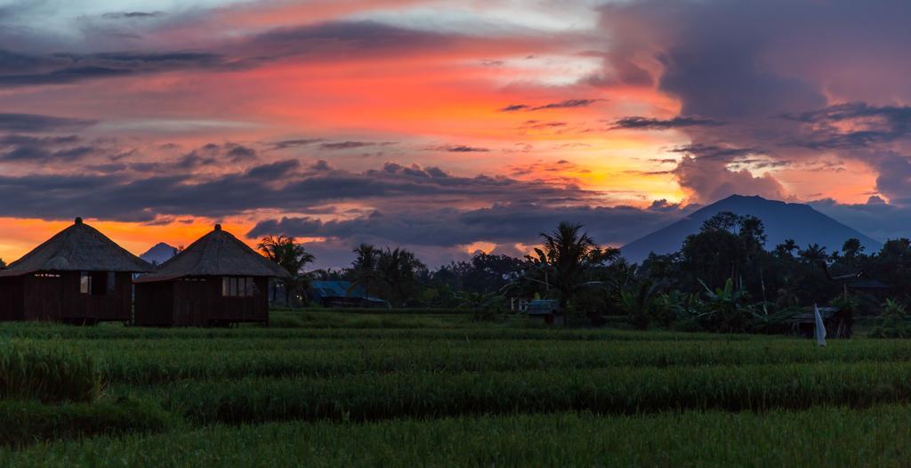 Adjoining Queen Rooms with Ricefields View